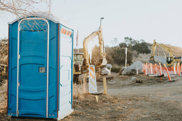 Best Sanitation services for porta potties  in Homer, MI